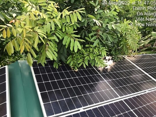 Đèn Năng Lượng Mặt Trời Có Sạc Được Vào Trời Mưa Không? 1 Giải Đáp Từ Chuyên Gia 12 LÁ CÂY CHE PIN NĂNG LƯỢNG MẶT TRỜI