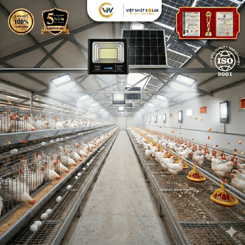 Đèn Năng Lượng Mặt Trời Lắp Chuồng Trại: Giải Pháp Chiếu Sáng Tự Động, Cắt Giảm 100% Tiền Điện 8 Đèn Năng Lượng Mặt Trời Lắp Chuồng Trại Gà