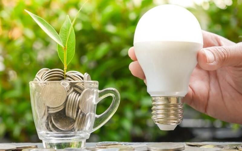 Top Bóng Đèn Tiết Kiệm Điện Đáng Mua Nhất 2026: Đọc Ngay Để "Cắt Đuôi" Tiền Điện! 11 BÓNG ĐÈN TIẾT KIỆM ĐIỆN